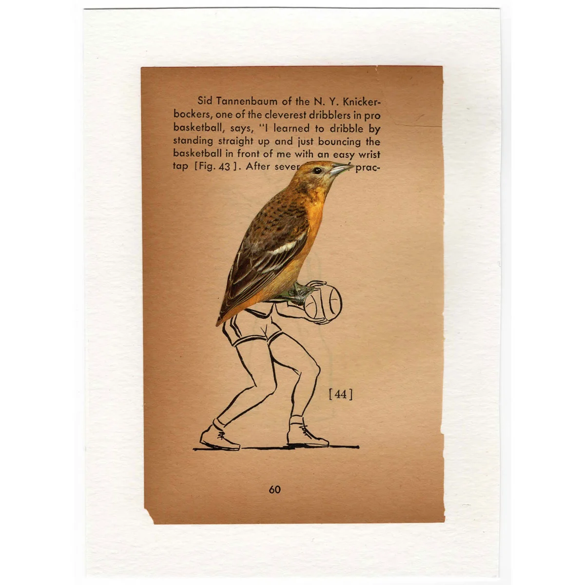 Sid Tannenbaum of The N.Y. Knickerbockers