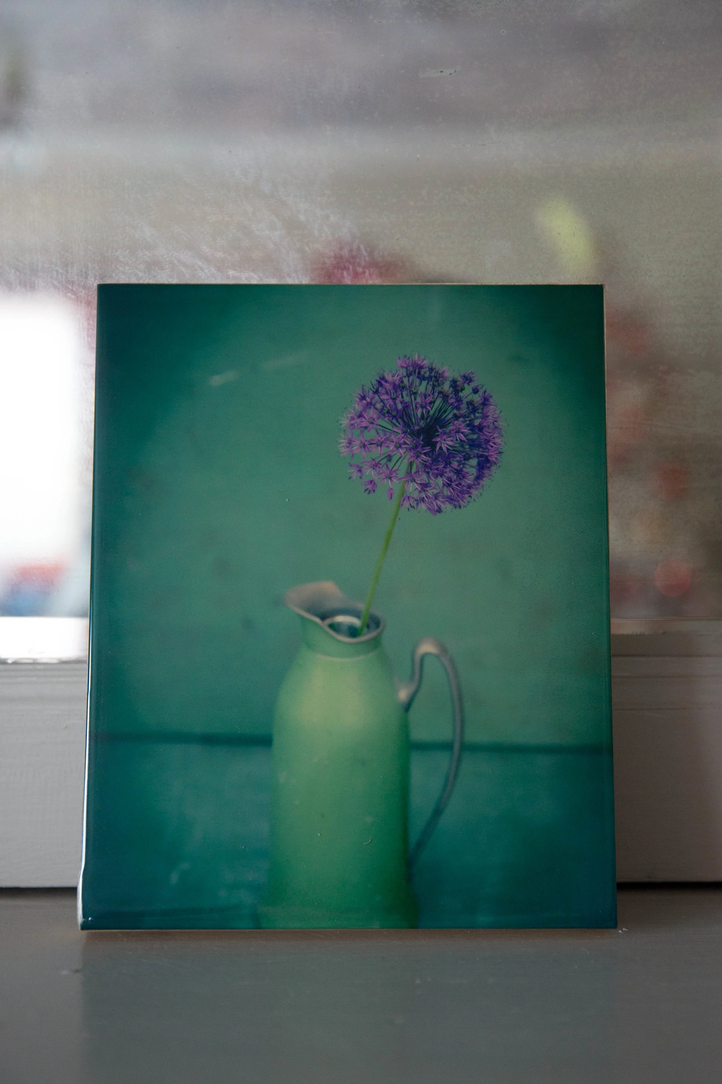 Allium - photo on wood panel
