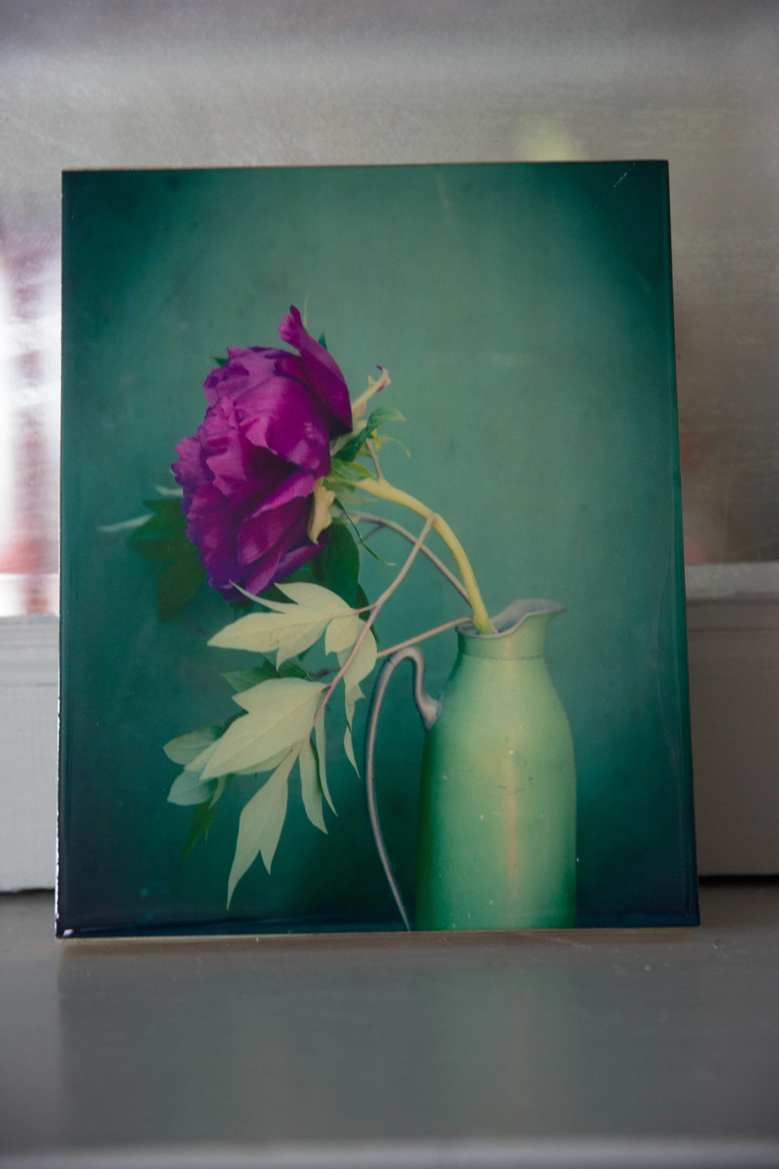 8- Peony  8x10 $80.jpg