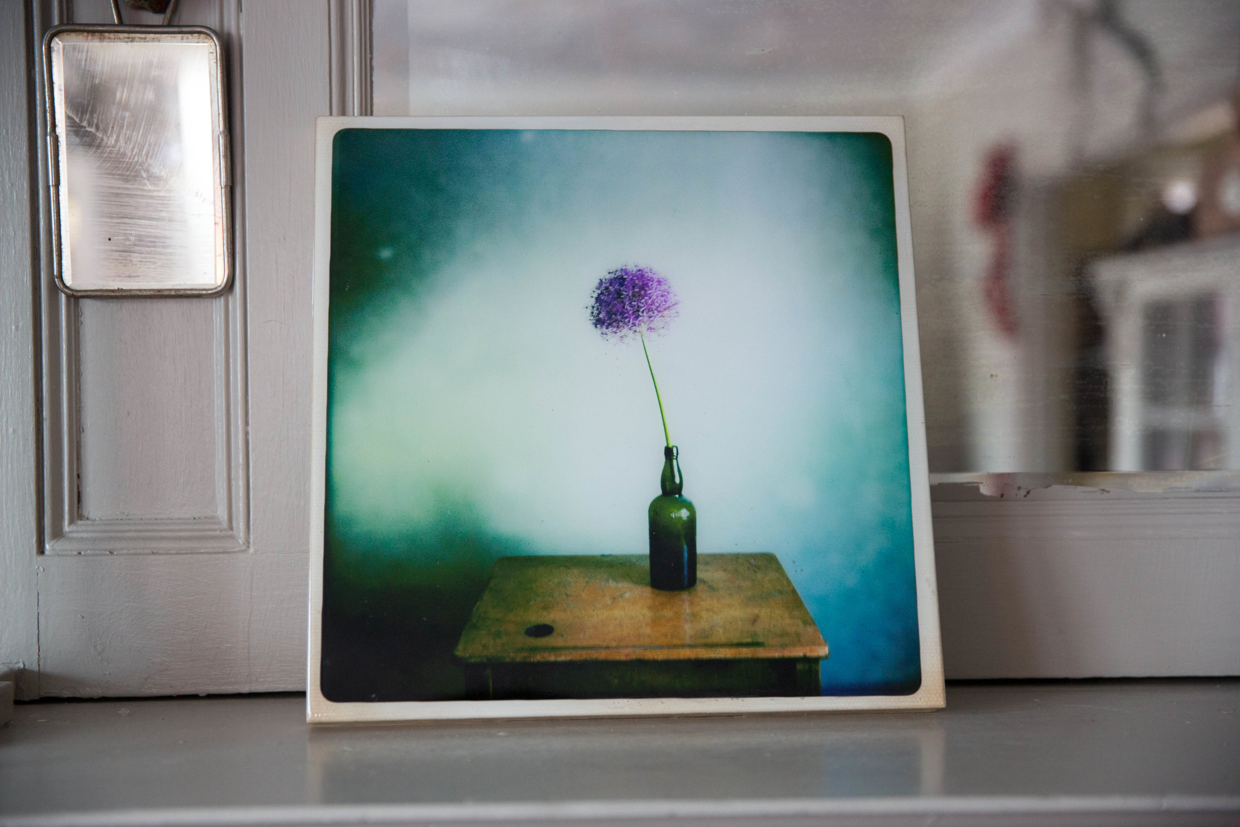 13- allium 12x12 $150.jpg