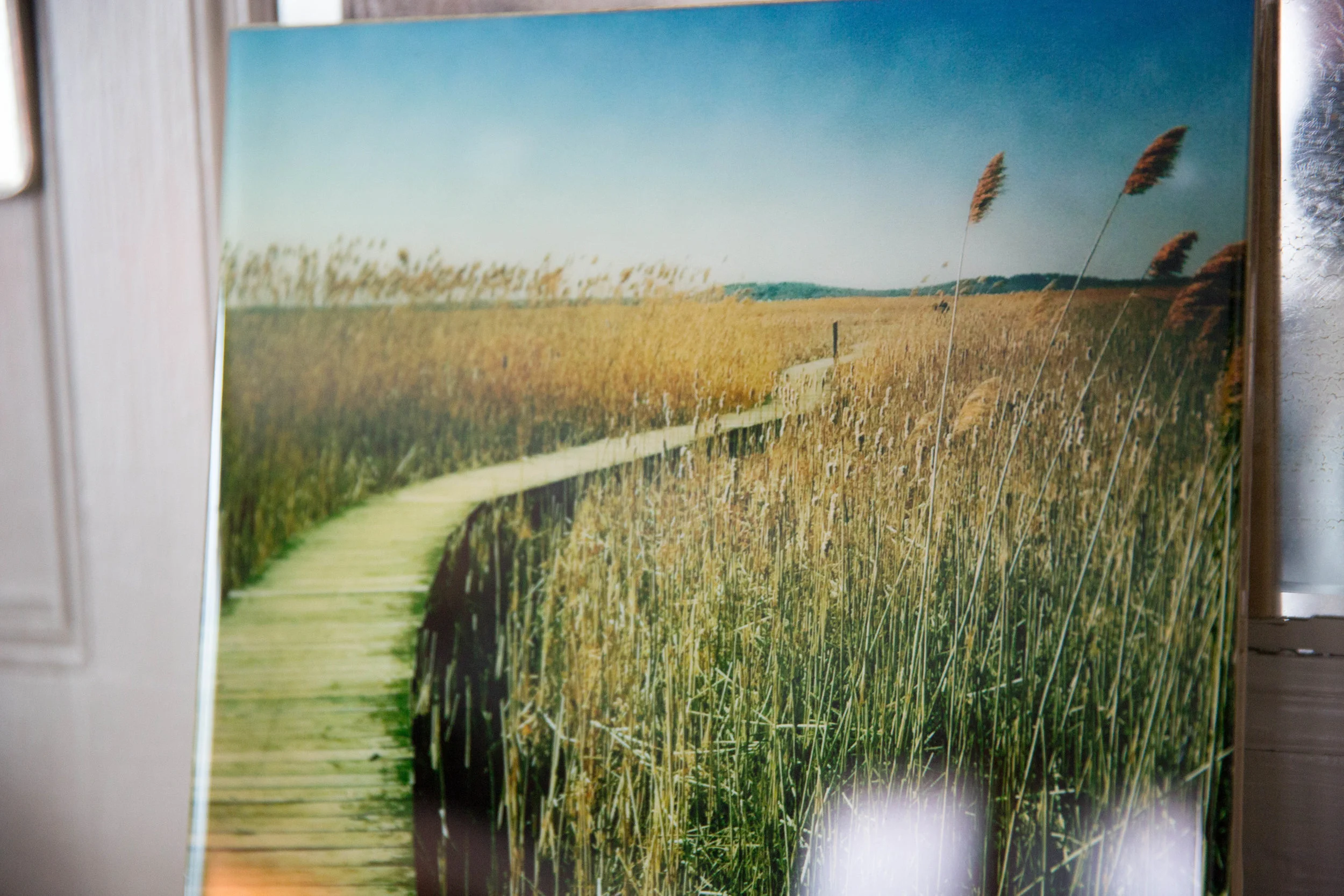 22-Marsh 10x10  $100-2.jpg