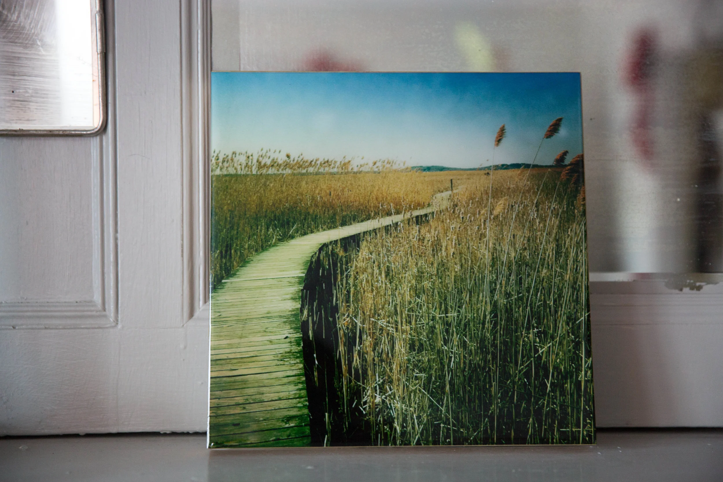 22-Marsh 10x10  $100.jpg