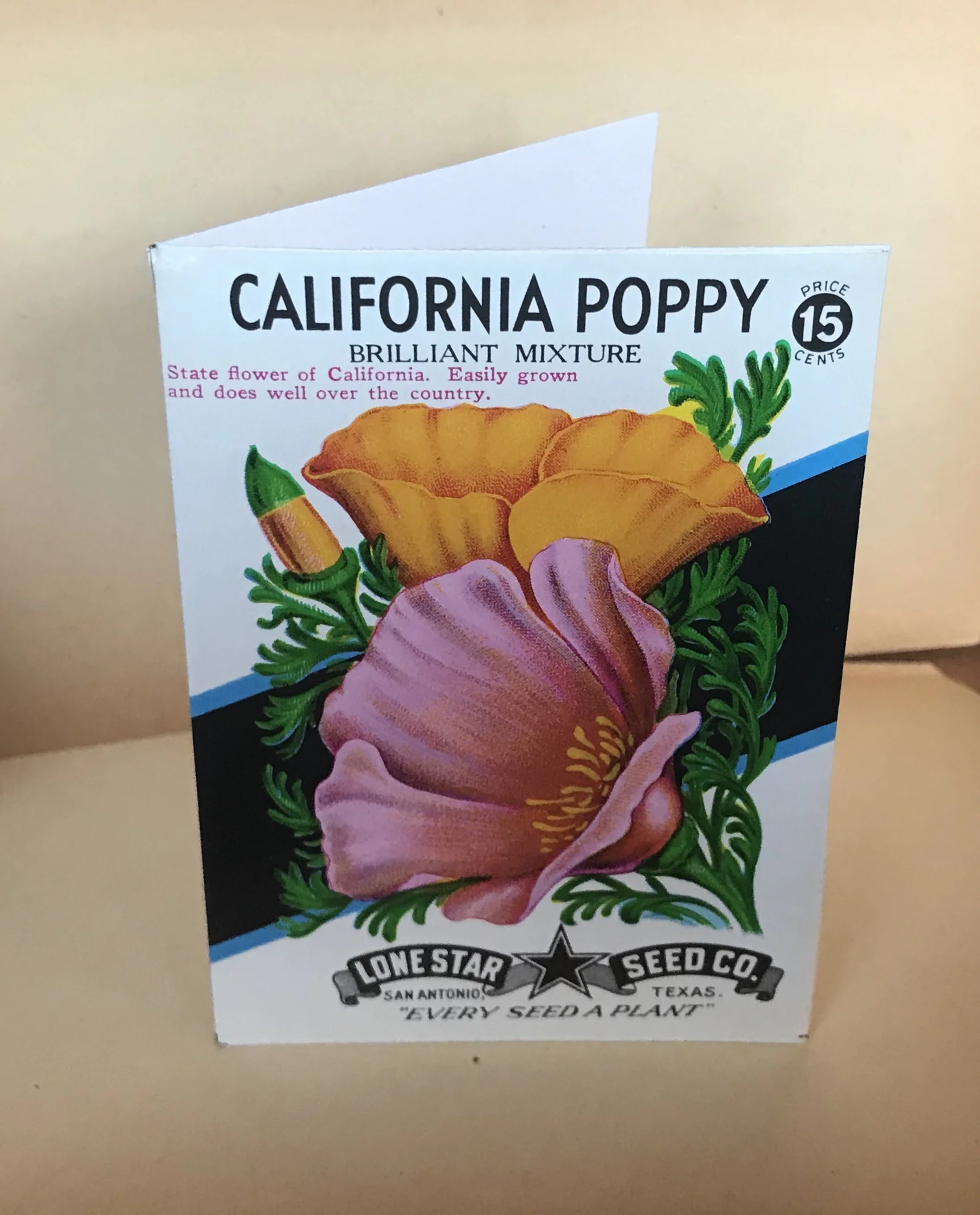 Poppy Seed Packet Cards, set of 6 with envelopes