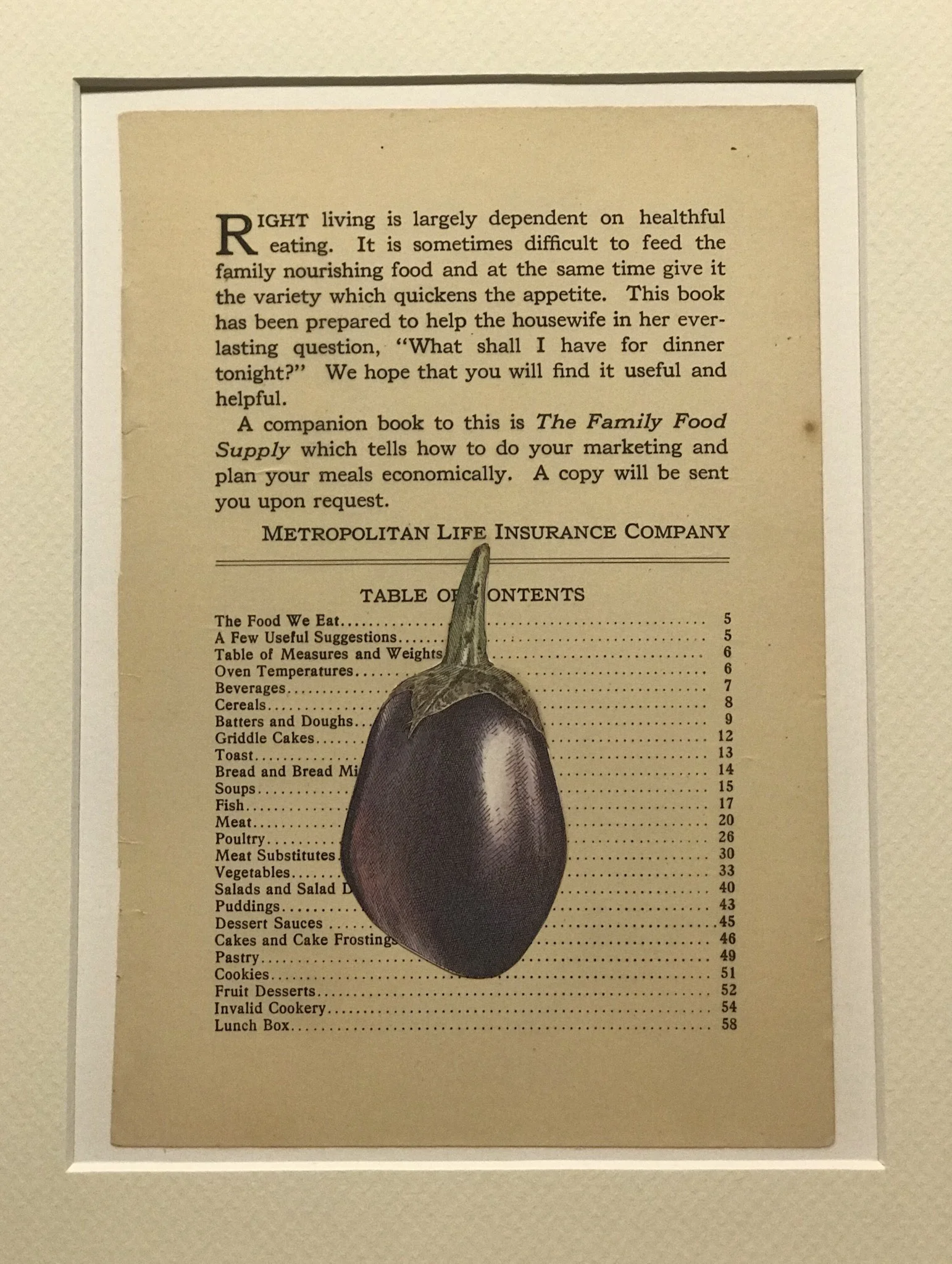 Metropolitan Eggplant