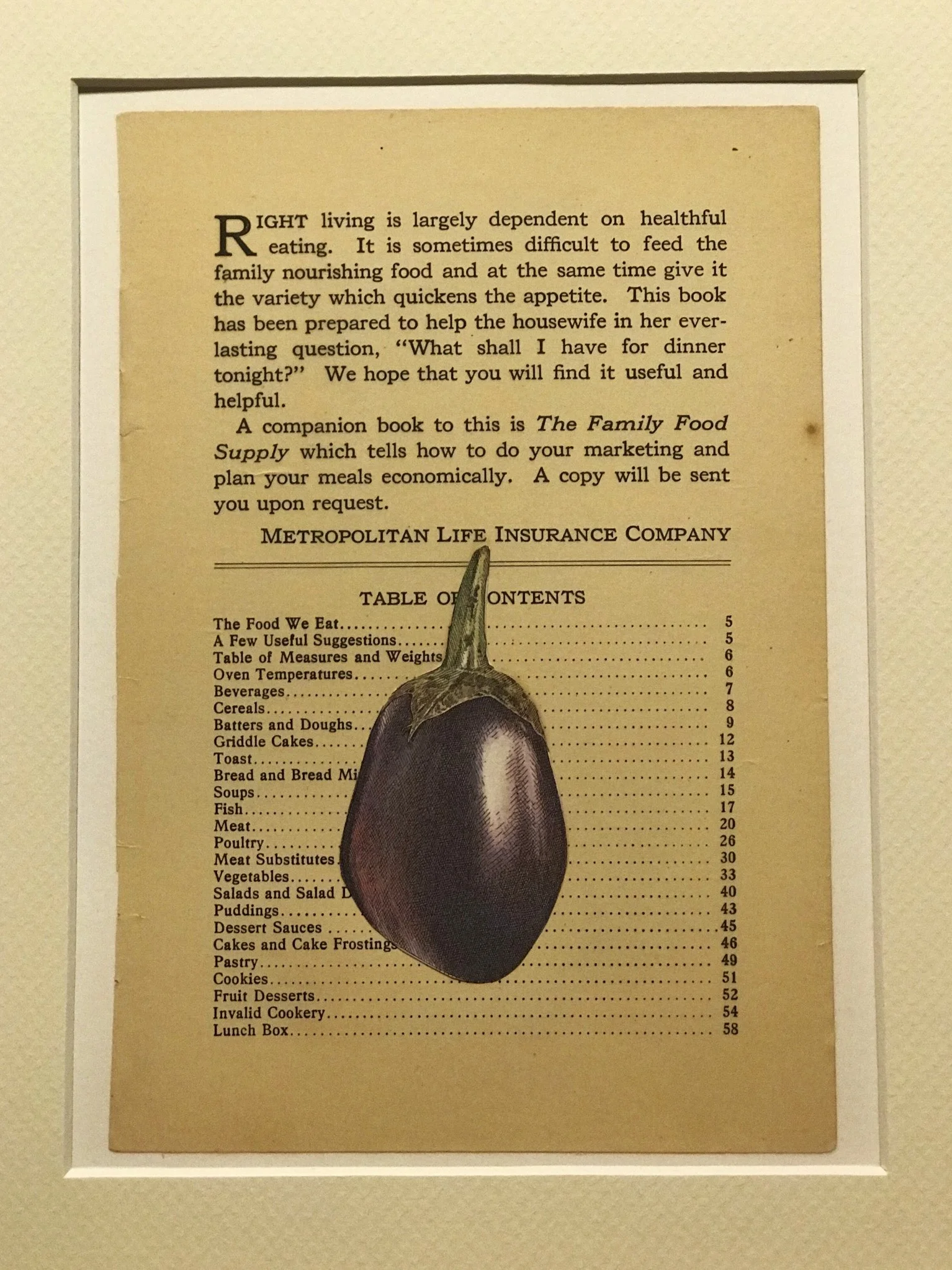 Eggplant