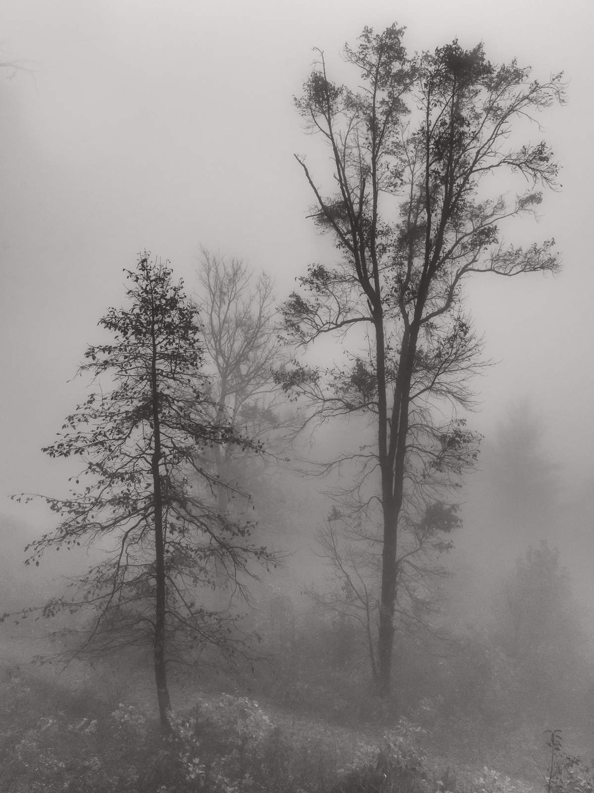 fog on ft mtn-1.JPG