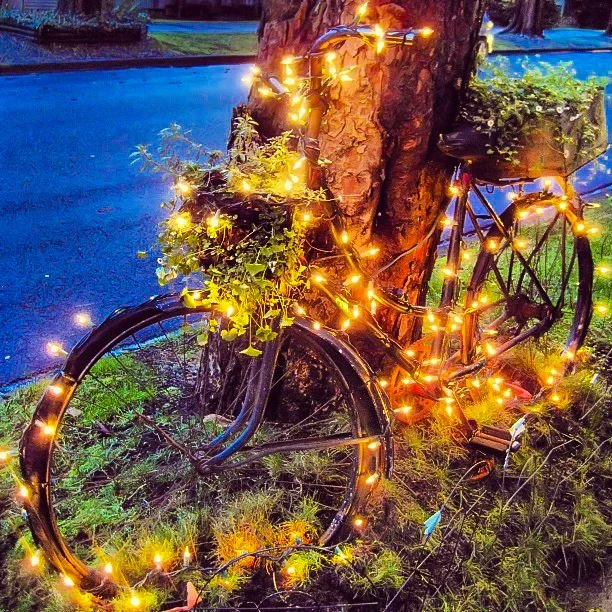 Christmas in Vancouver on Two Wheels