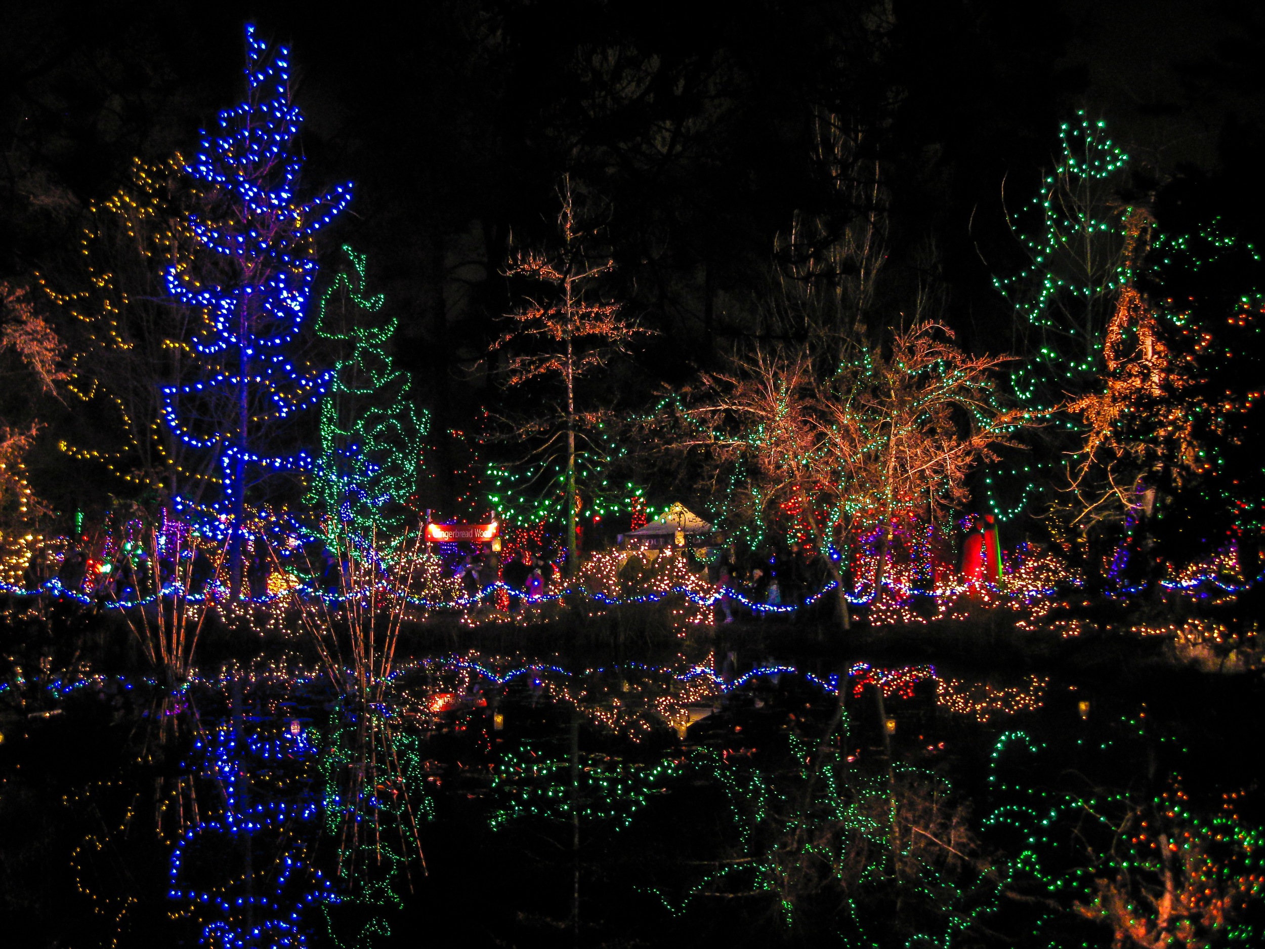 Festival of Lights at Van Dusen Botanical Gardens