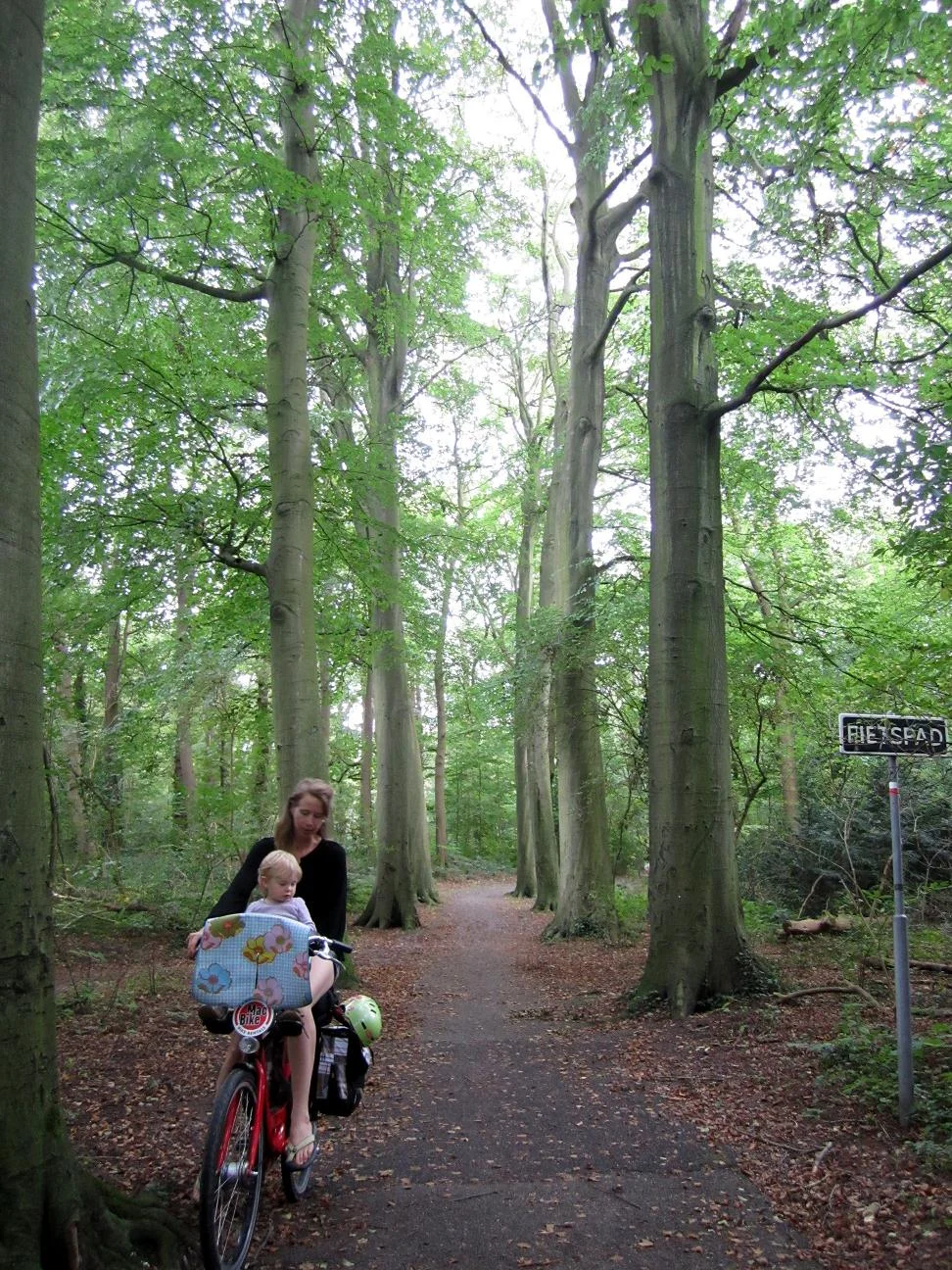 The Hague's Scheveningse Bosjes is a park providing a grand entrance to the Dunes.