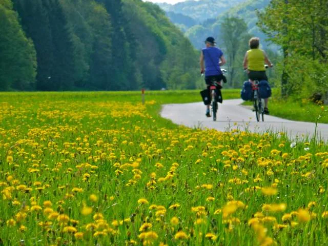 Danube River biking. Photo by lovethybike.wordpress.com