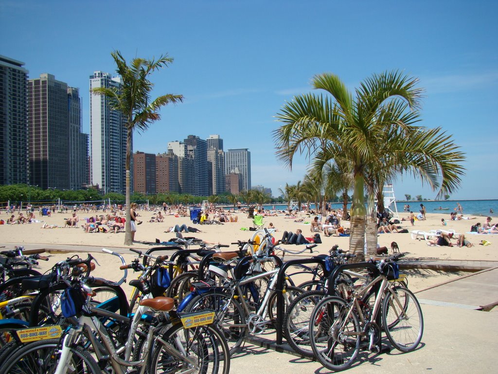 Lakefront path in Chicago has the calmness, scenery and water elements of a great bike ride.