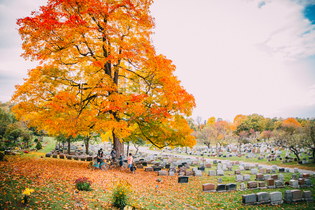 Bikabout-Montreal-Mount-Royal-Cemetery-Fitz-and-Follwell.jpg