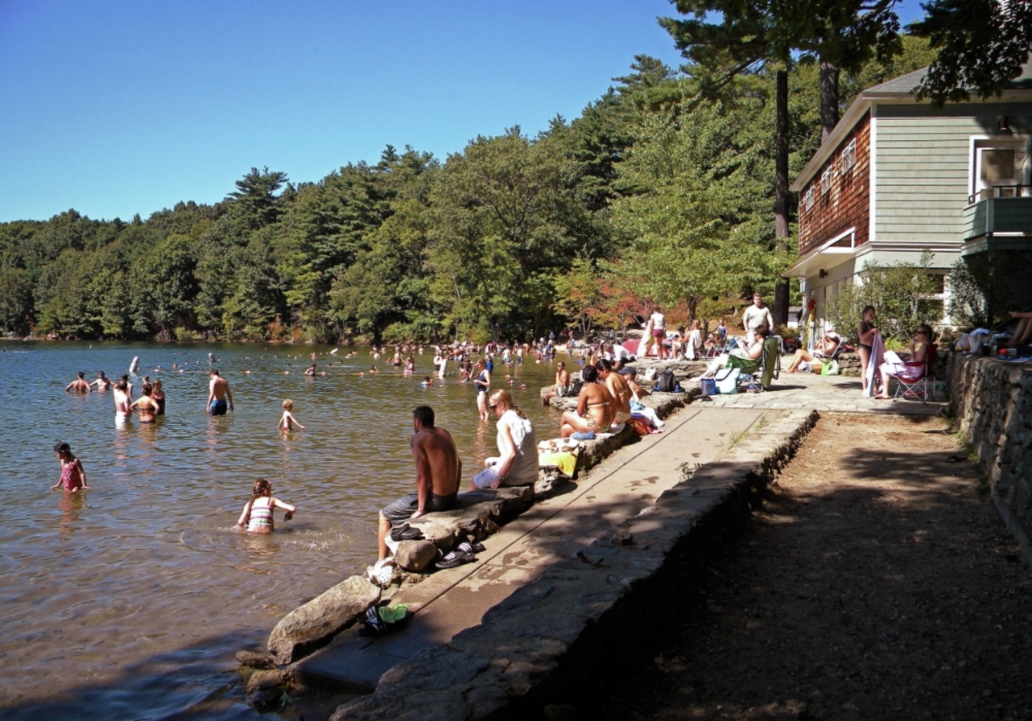 Walden Pond, aka great swimming hole