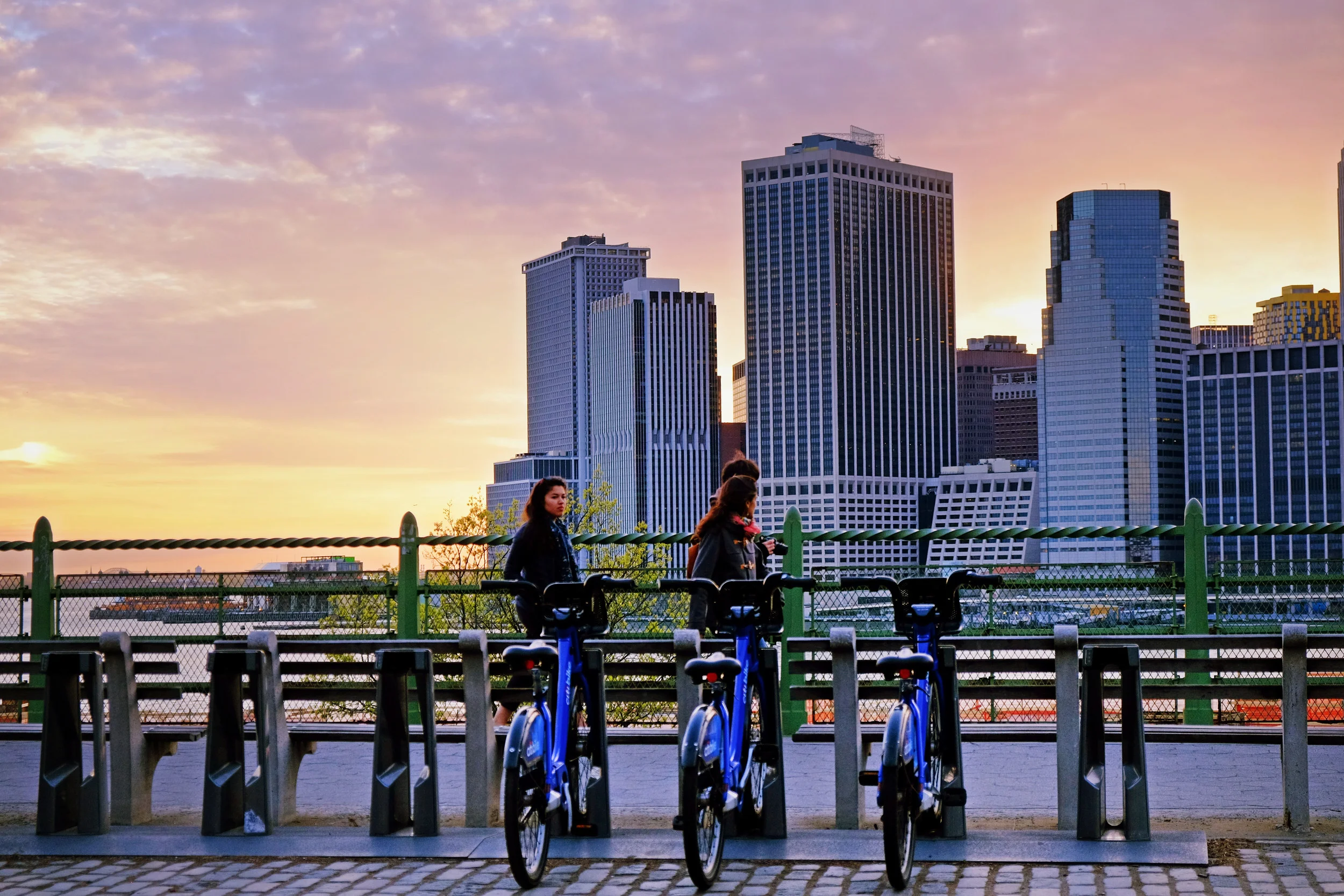 Bike Share or Rental Bike?