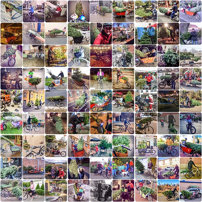 Modacity's 2014 collage.