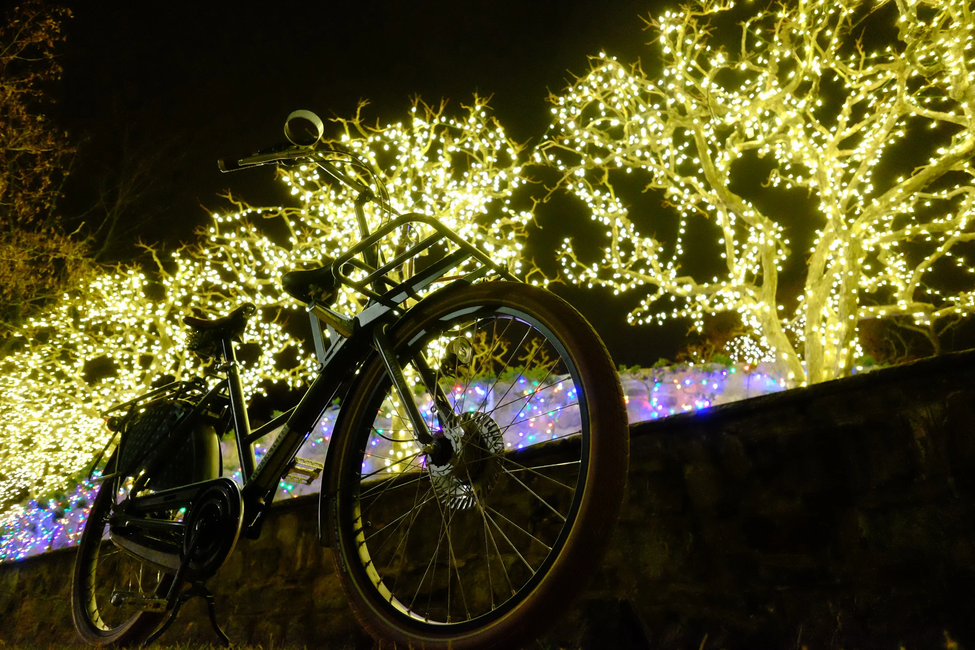 Holidays by Bike in North America
