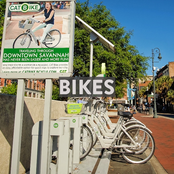 Bike rentals, tours and local bike shops