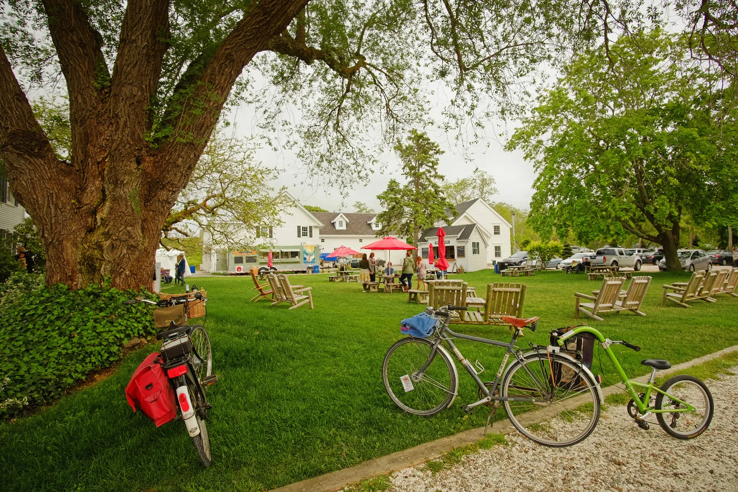 The vineyards common lawn has ample seating and huge, old oak trees to gaze up at.