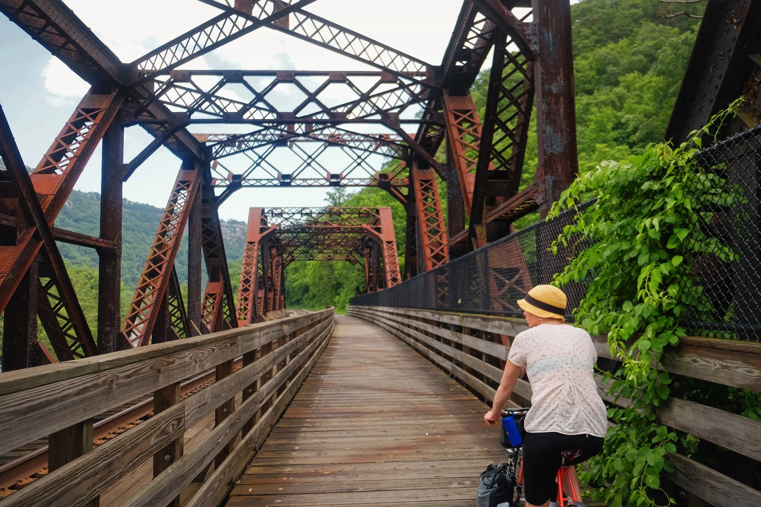 Historic bridges along the Great Allegheny Passage.