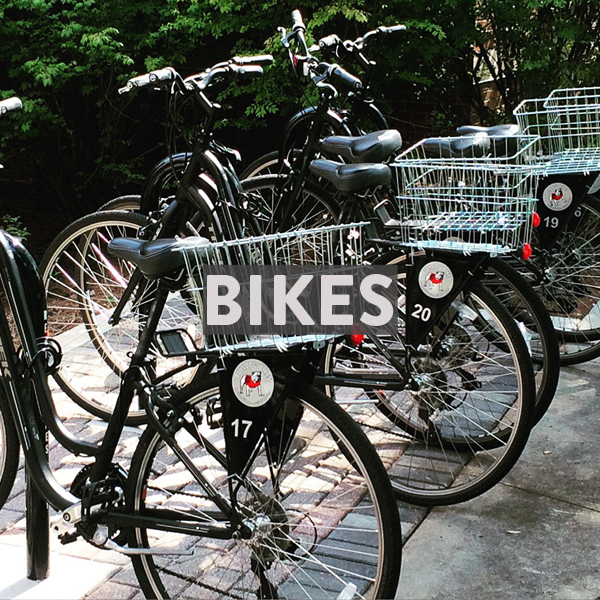 Bike Rentals in Athens