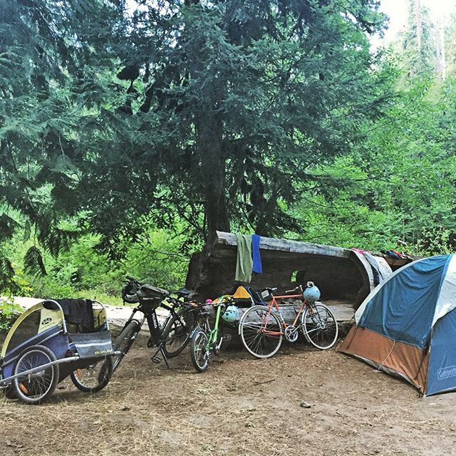 Family bike camping 🚲⛺️ doesn&rsquo;t have to be hard with an ⚡️ #ebike. The usual set up is the @pedego pulling the @burleydesign piccolo pulling the burley trailer with gear and the other person riding whatever they want carrying 2 panniers. #ebik