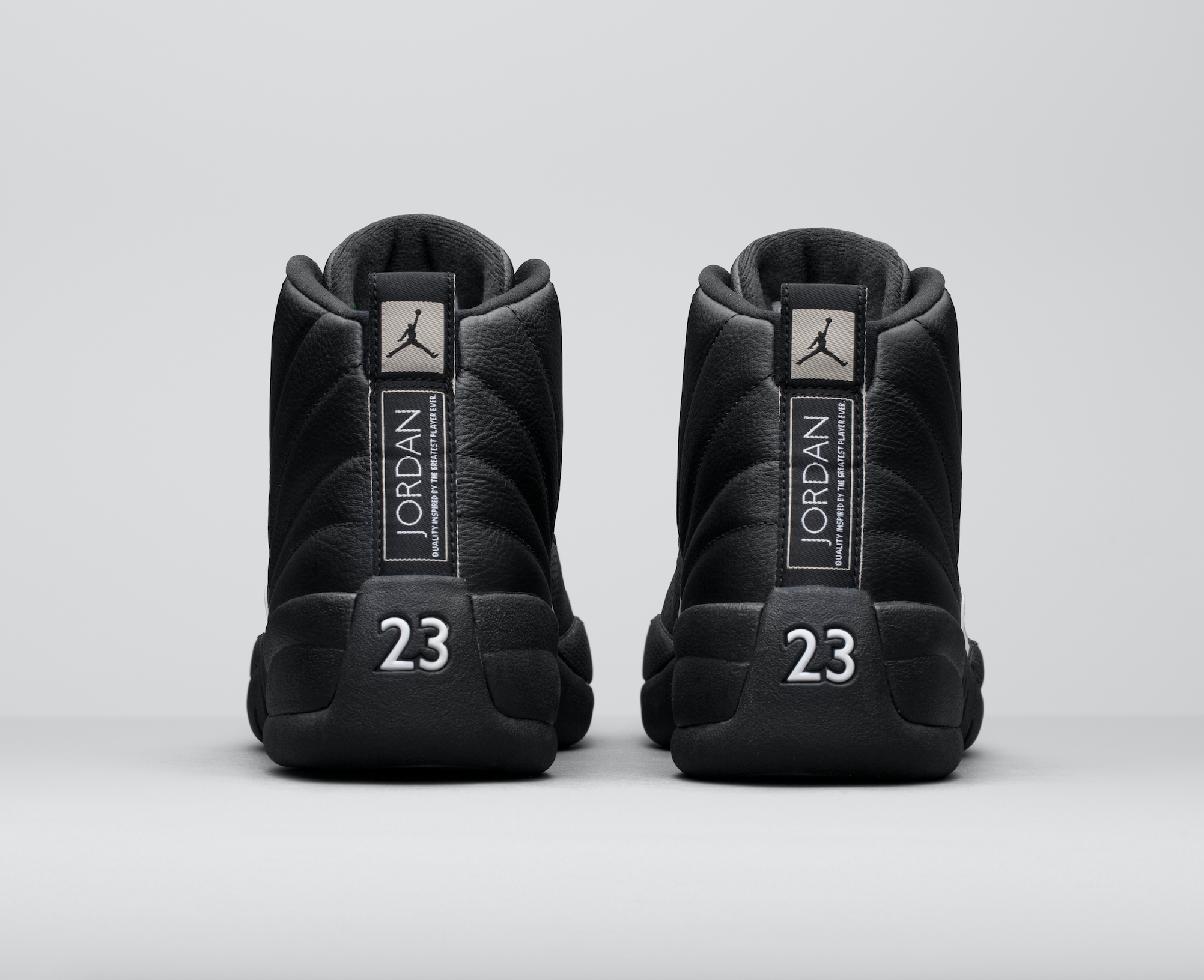jordan 12s the master