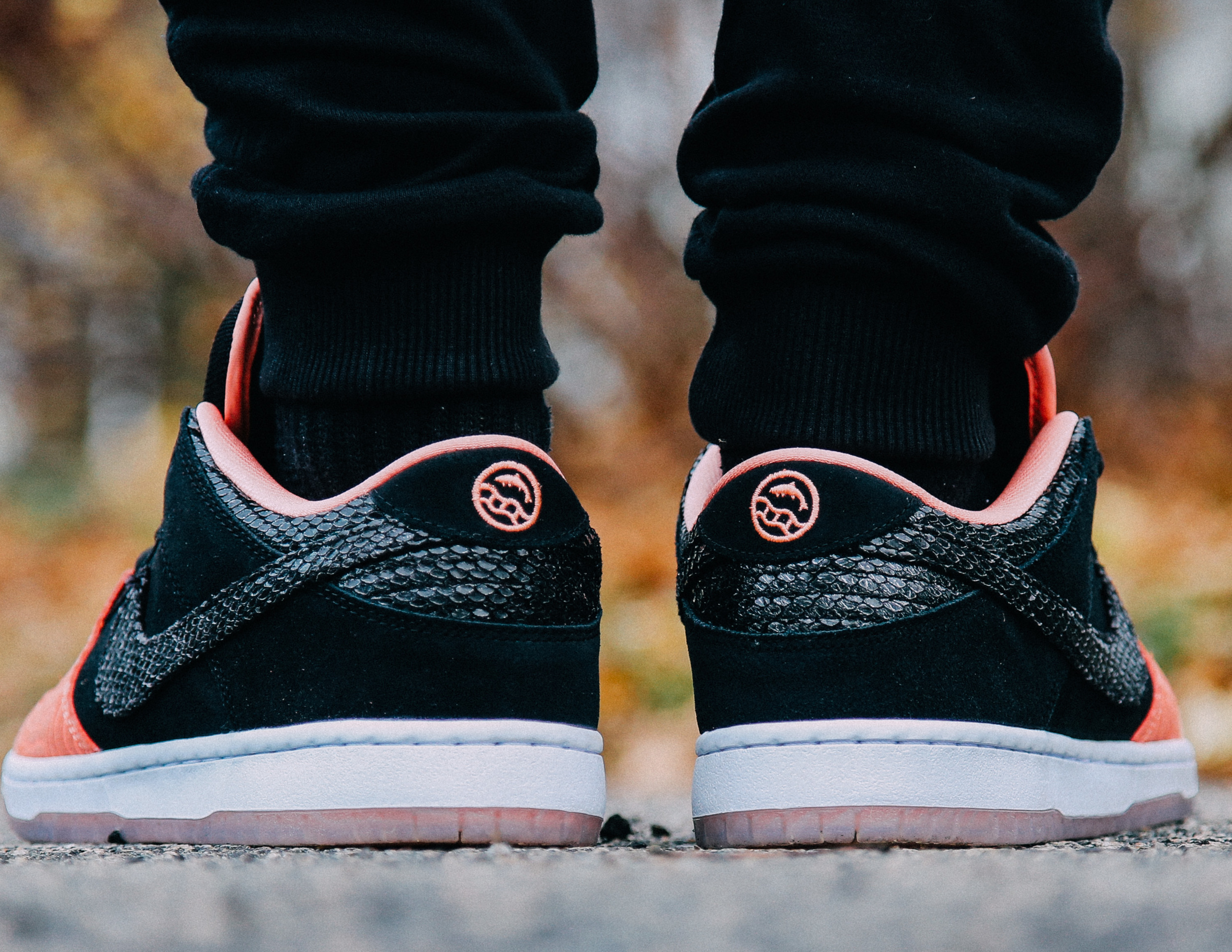 nike sb dunk low fish ladder