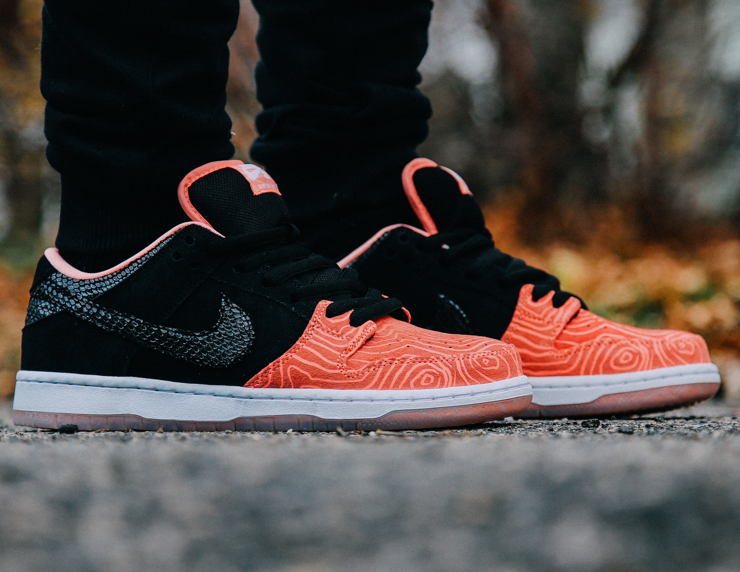 nike sb salmon ladder