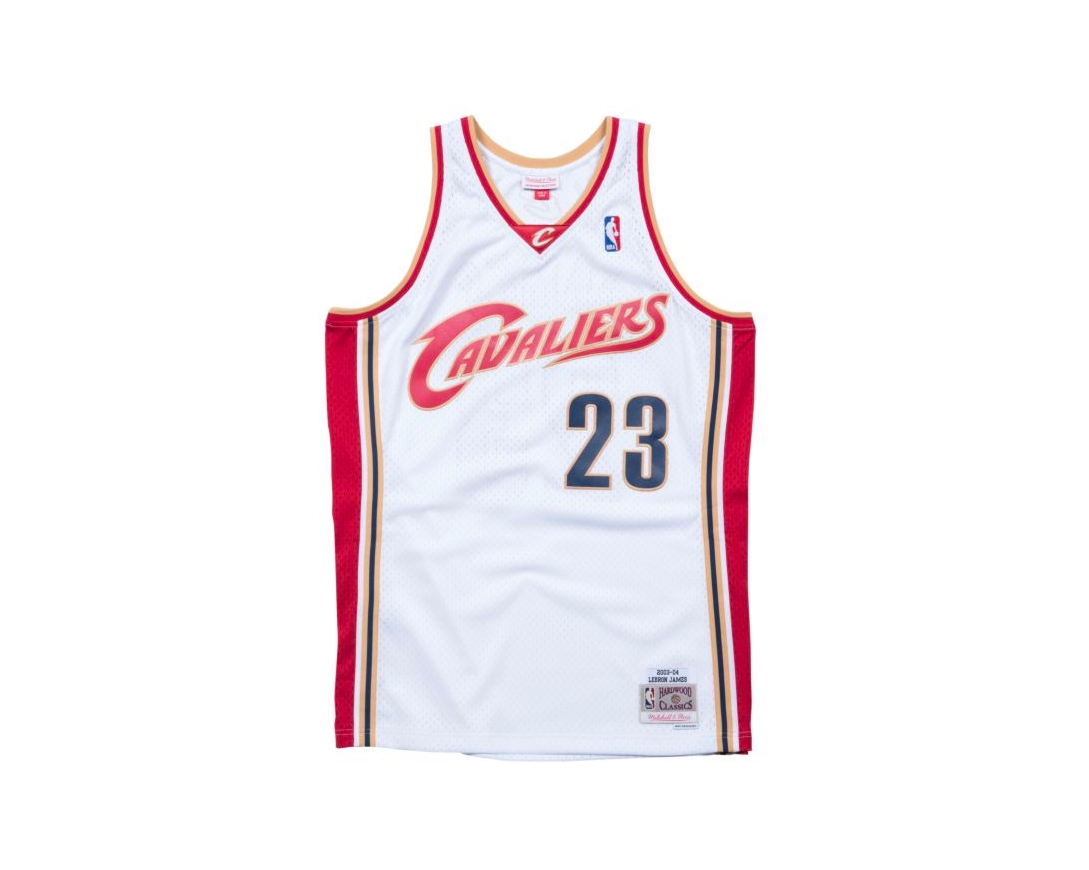 lebron james cavaliers jersey for sale