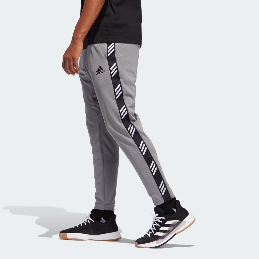 pro madness pants