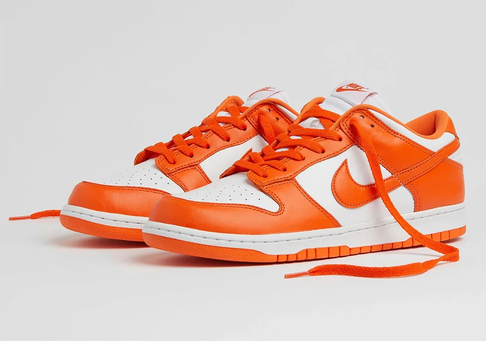 syracuse nike dunks low