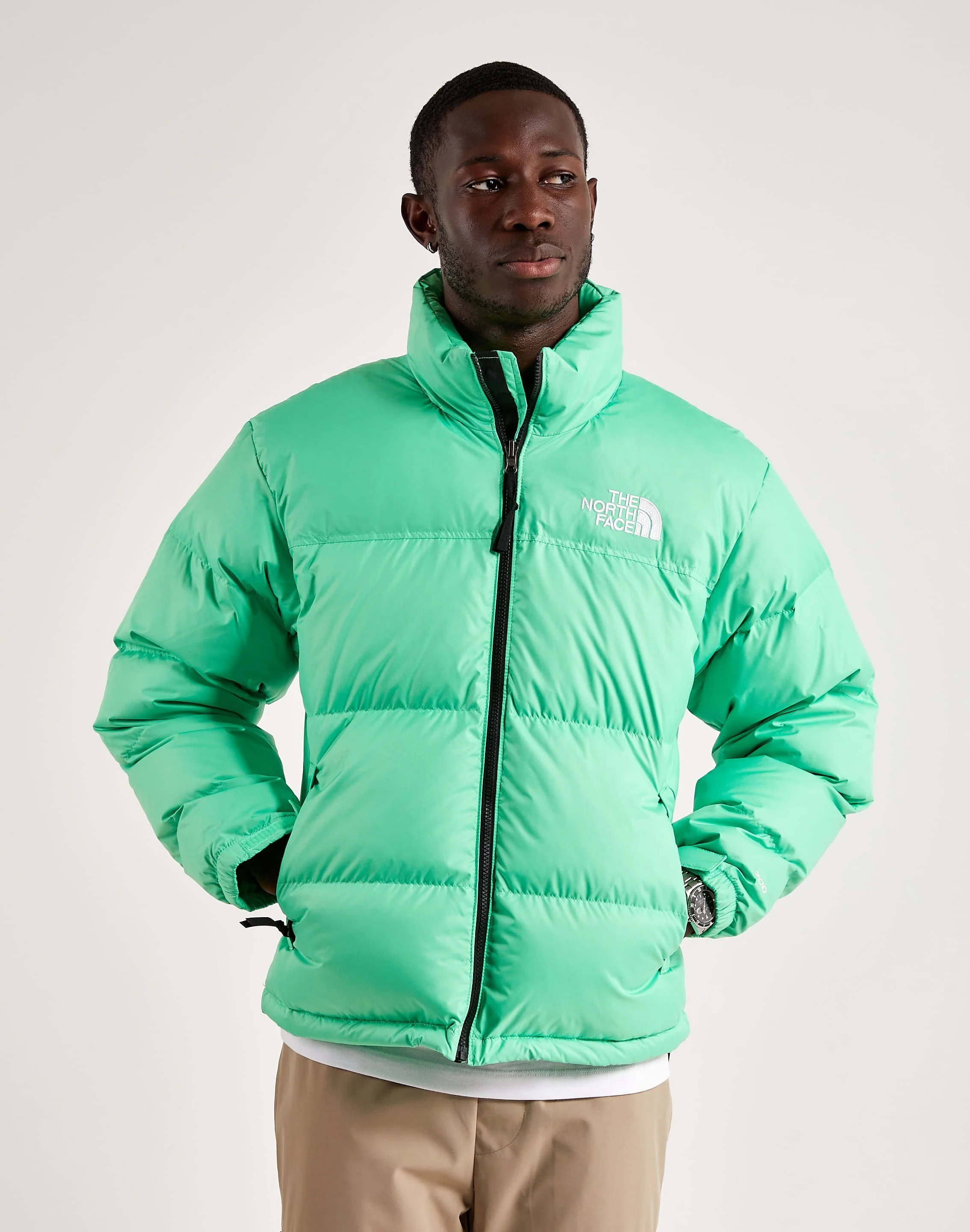 NorthFace-NF0A3C8D8YK-M-096.png