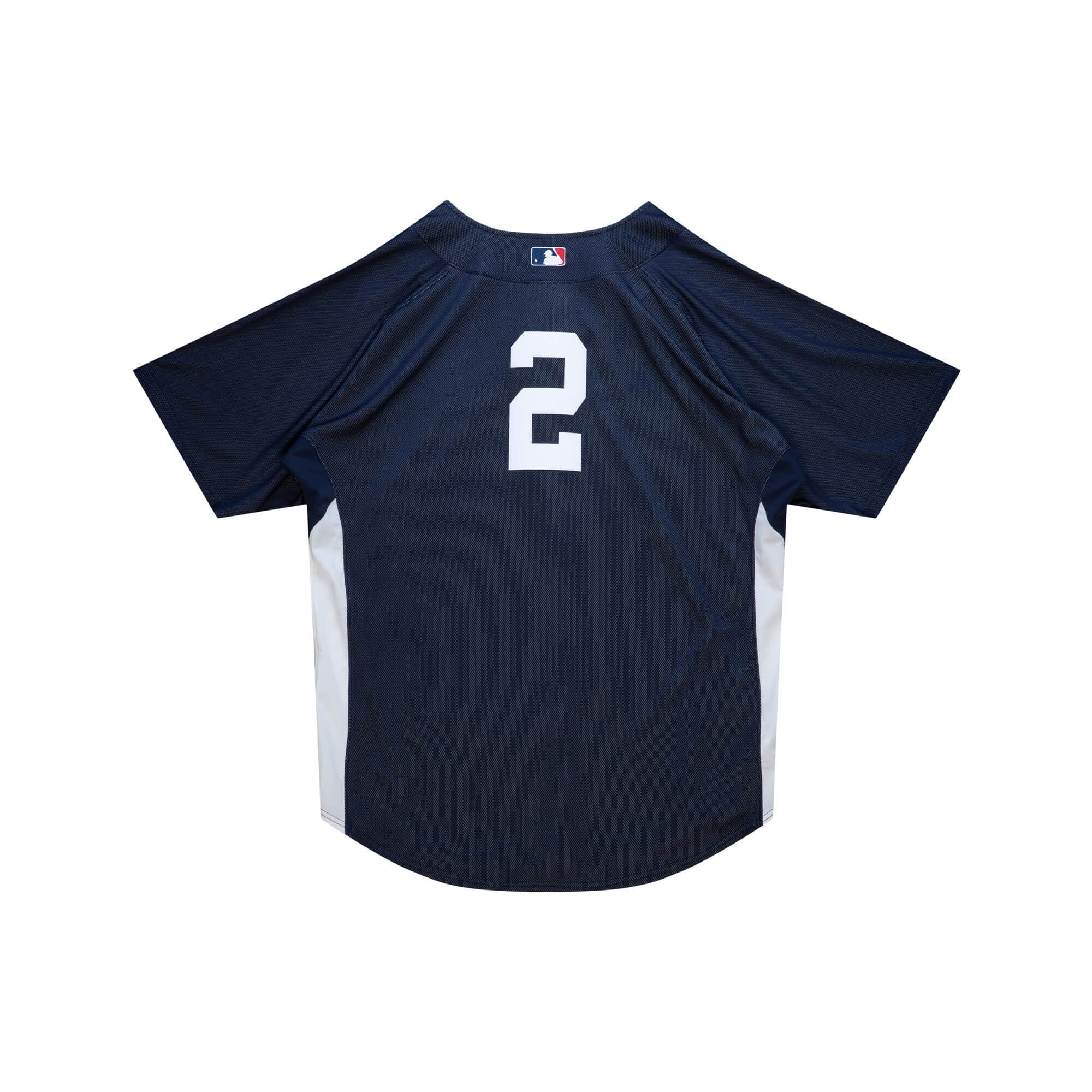 abpj3345-nyy09djtnavy_2.png