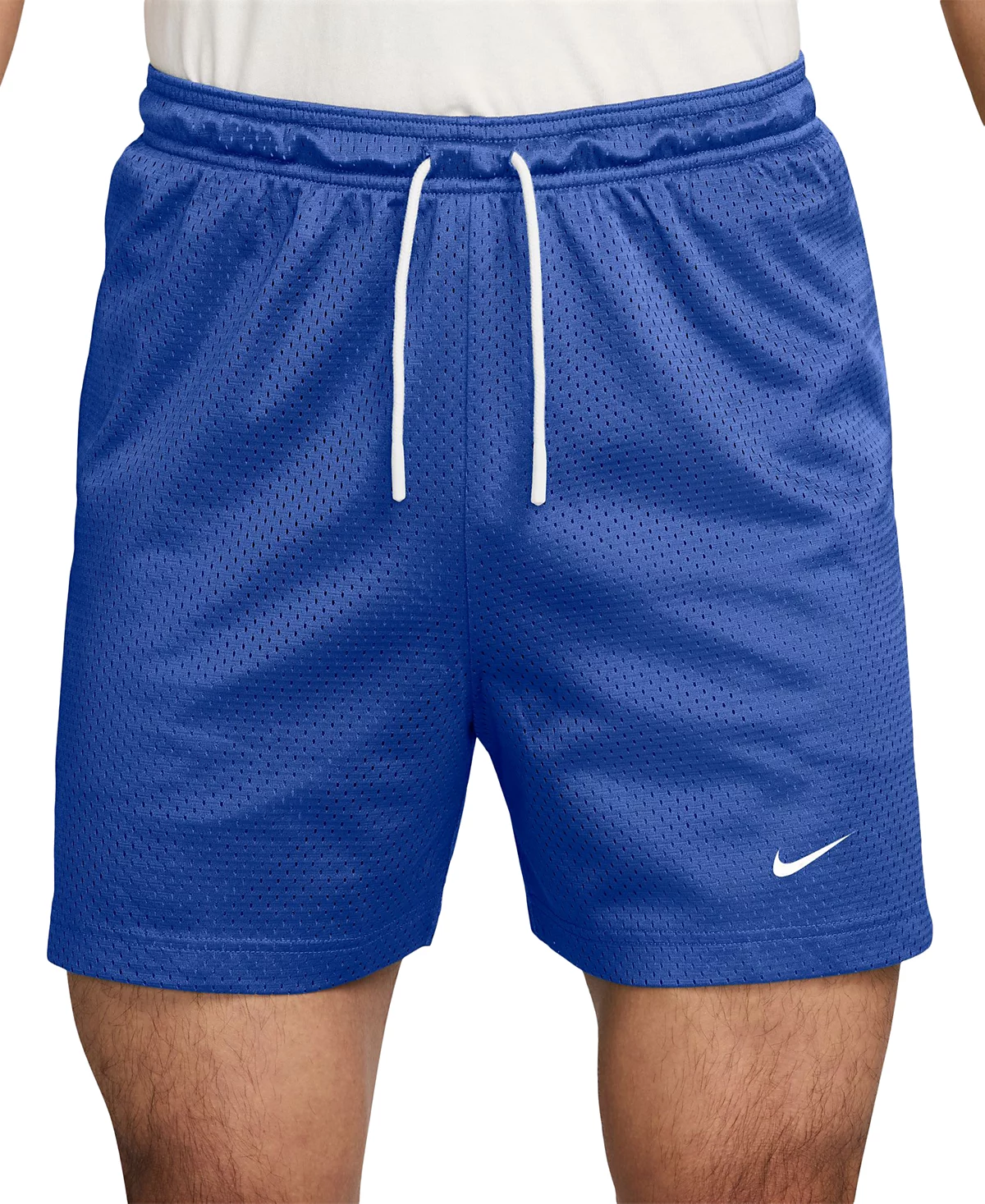 31605013_fpx.png