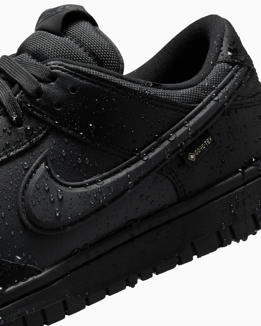 sneakers-nike-dunk-low-gore-tex-hq2053-001-7.png