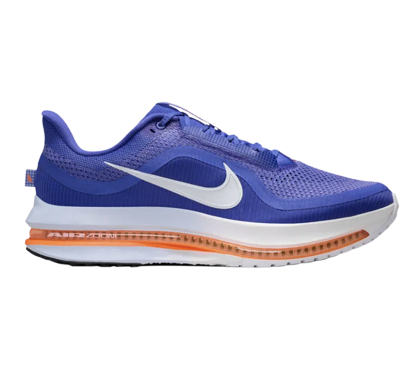 On Sale: Nike Pegasus Premium "Lapis"