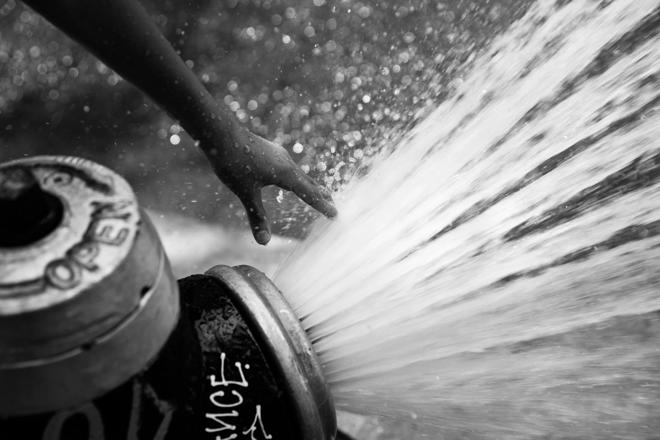 148-queens-nyc-summer-block-party.jpg