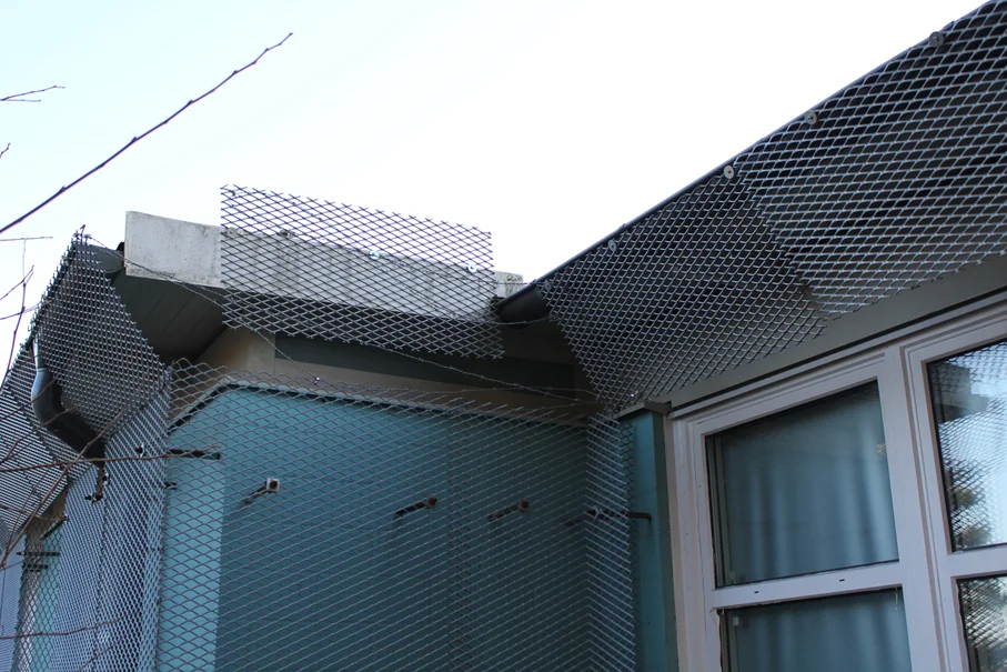sidedetail.jpg