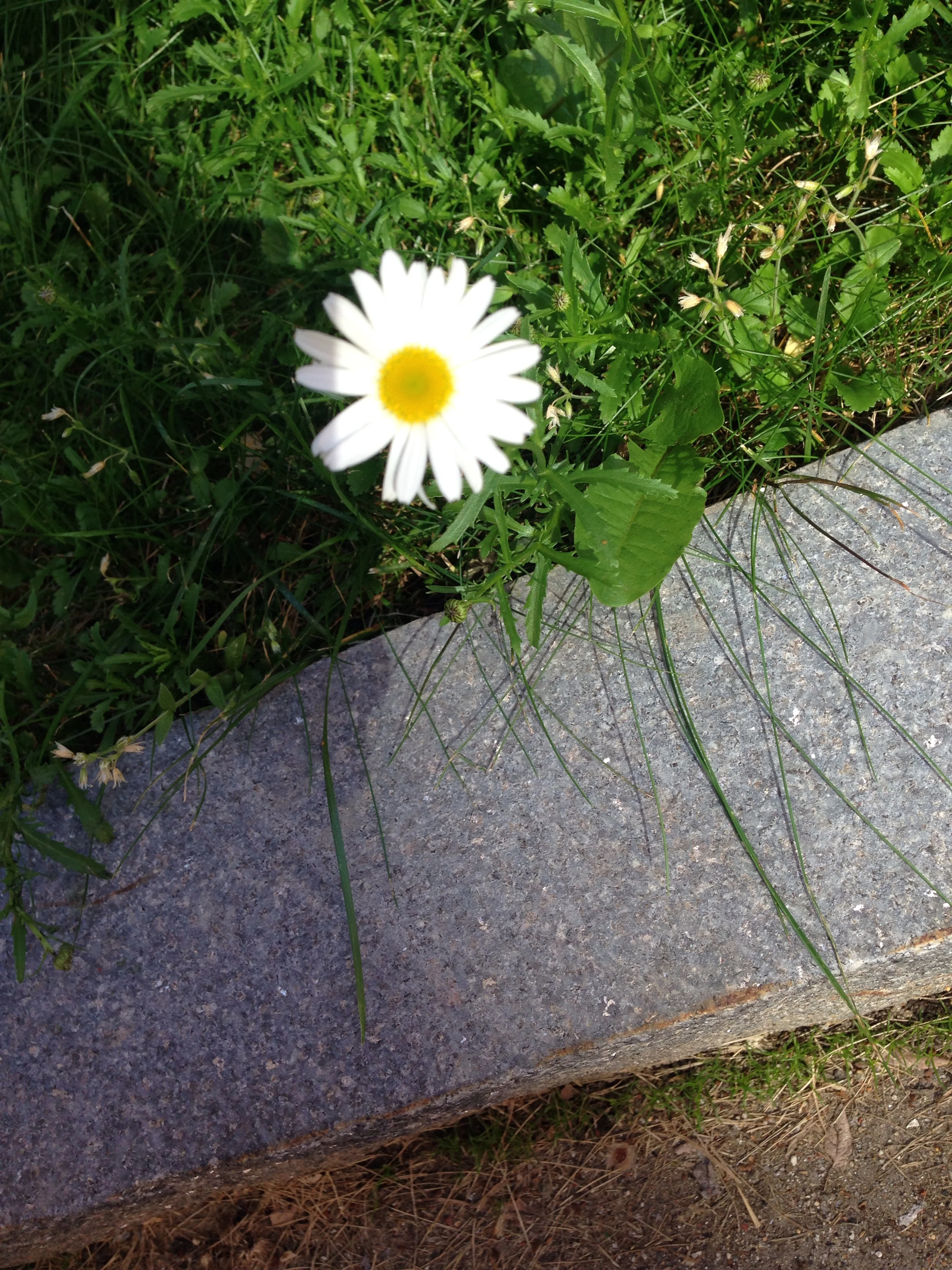 6/27/14: Found this on my Friday work day! 