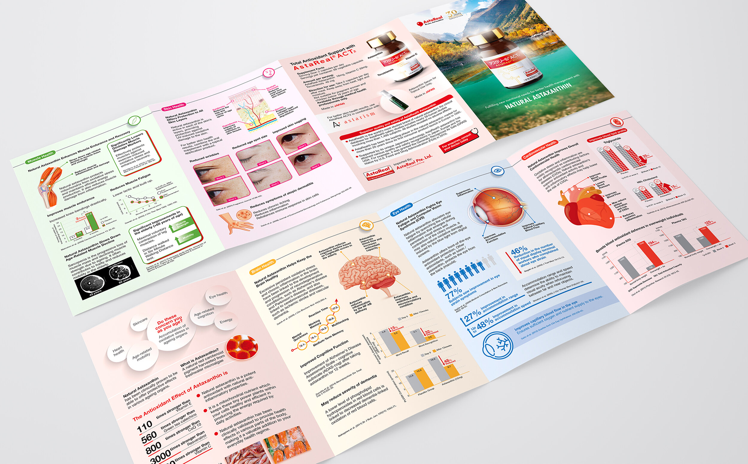AstaReal ACT2 Brochure Design (Visual Communication by YANA Singapore Freelance Designer).jpg