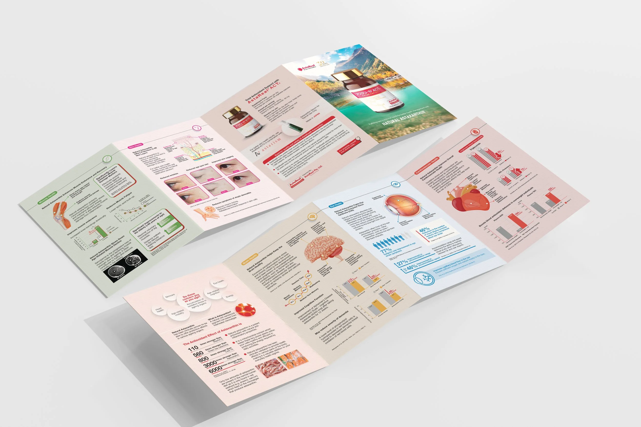 ACT AstaReal Brochure Design Vr2026-Yana Singapore Freelance Designer.jpg