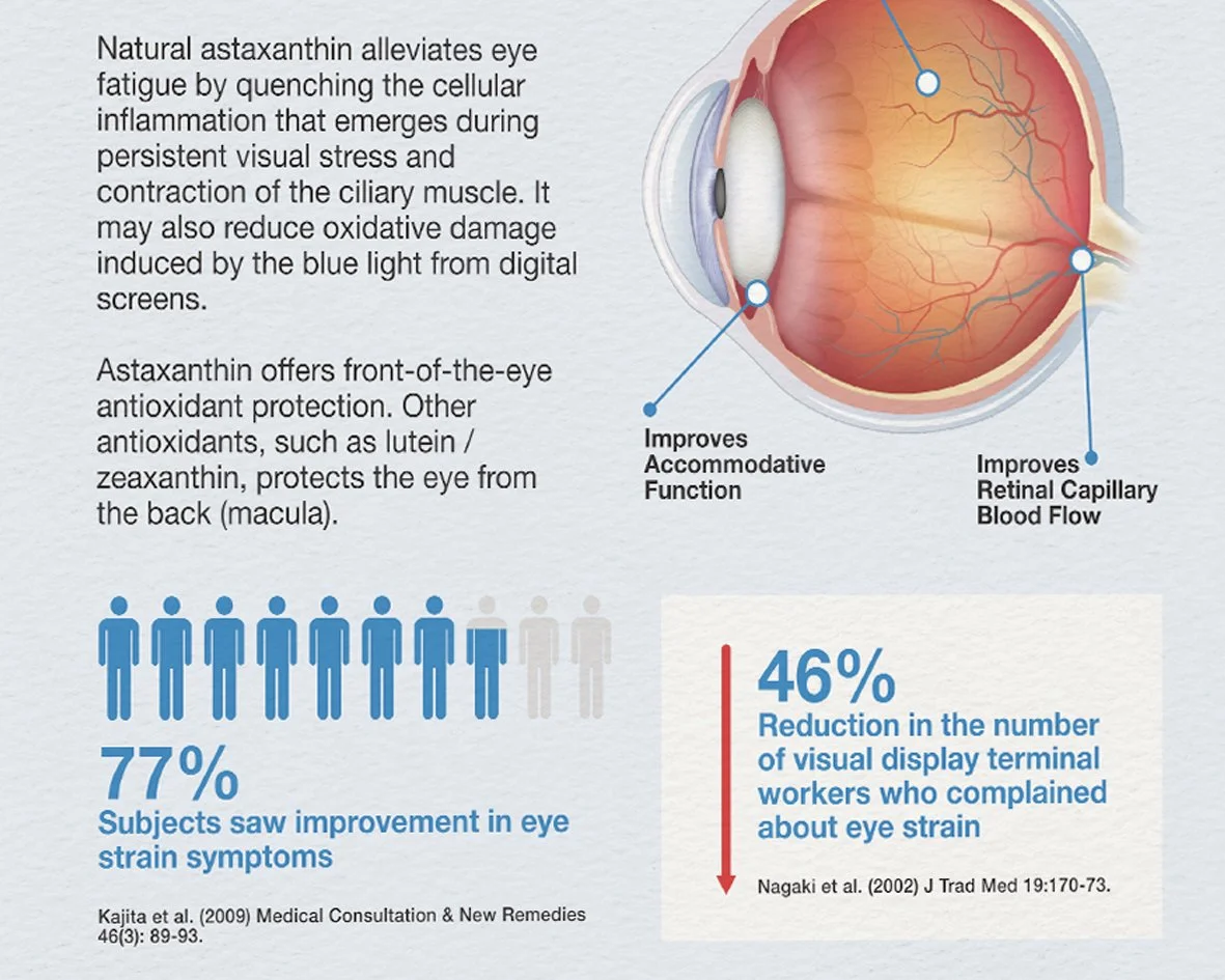 ACT AstaReal infographic Design 2.jpg