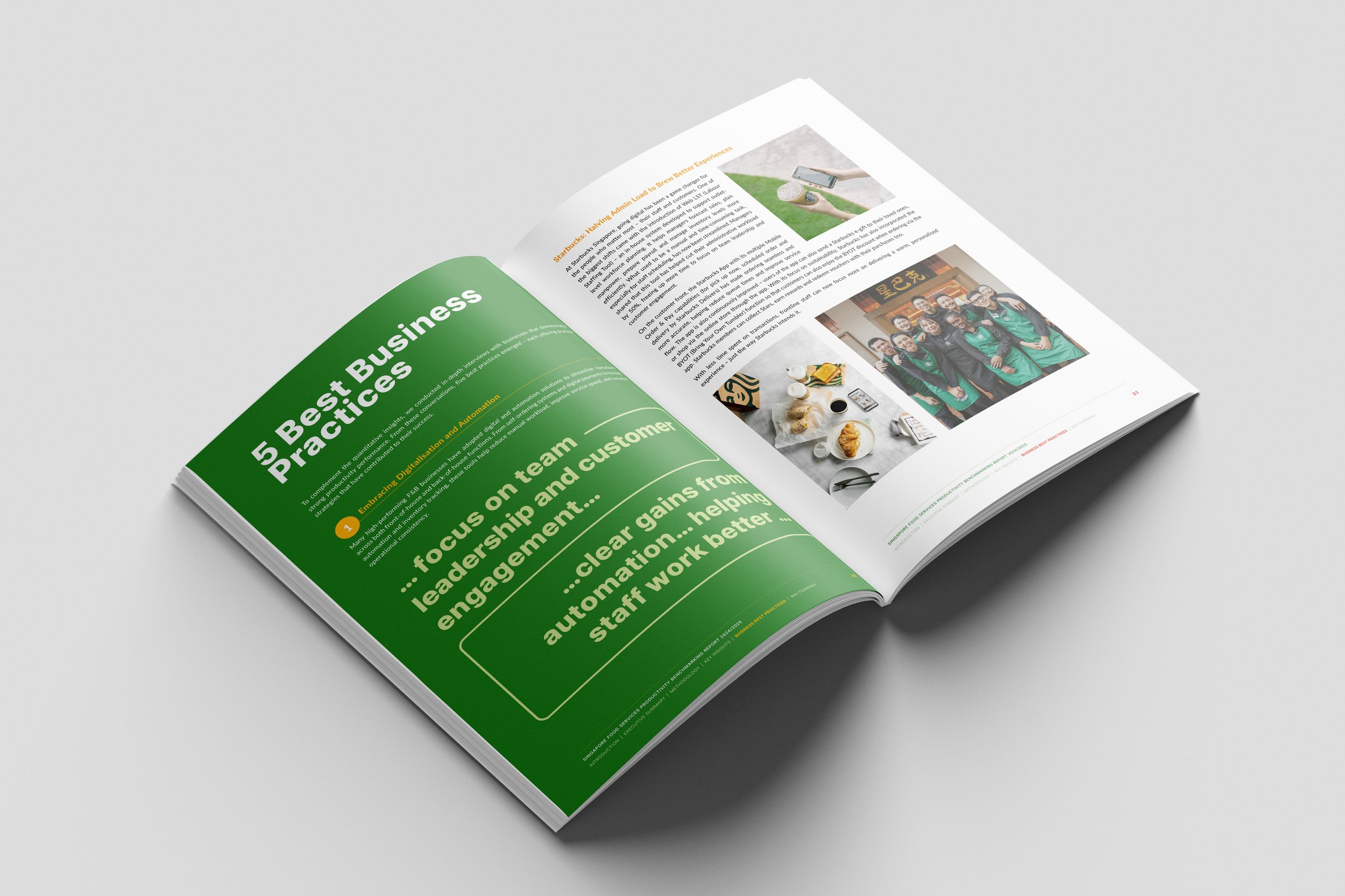 SG FIPB Report Design Vr2026-Yana Singapore Freelance Designer.jpg