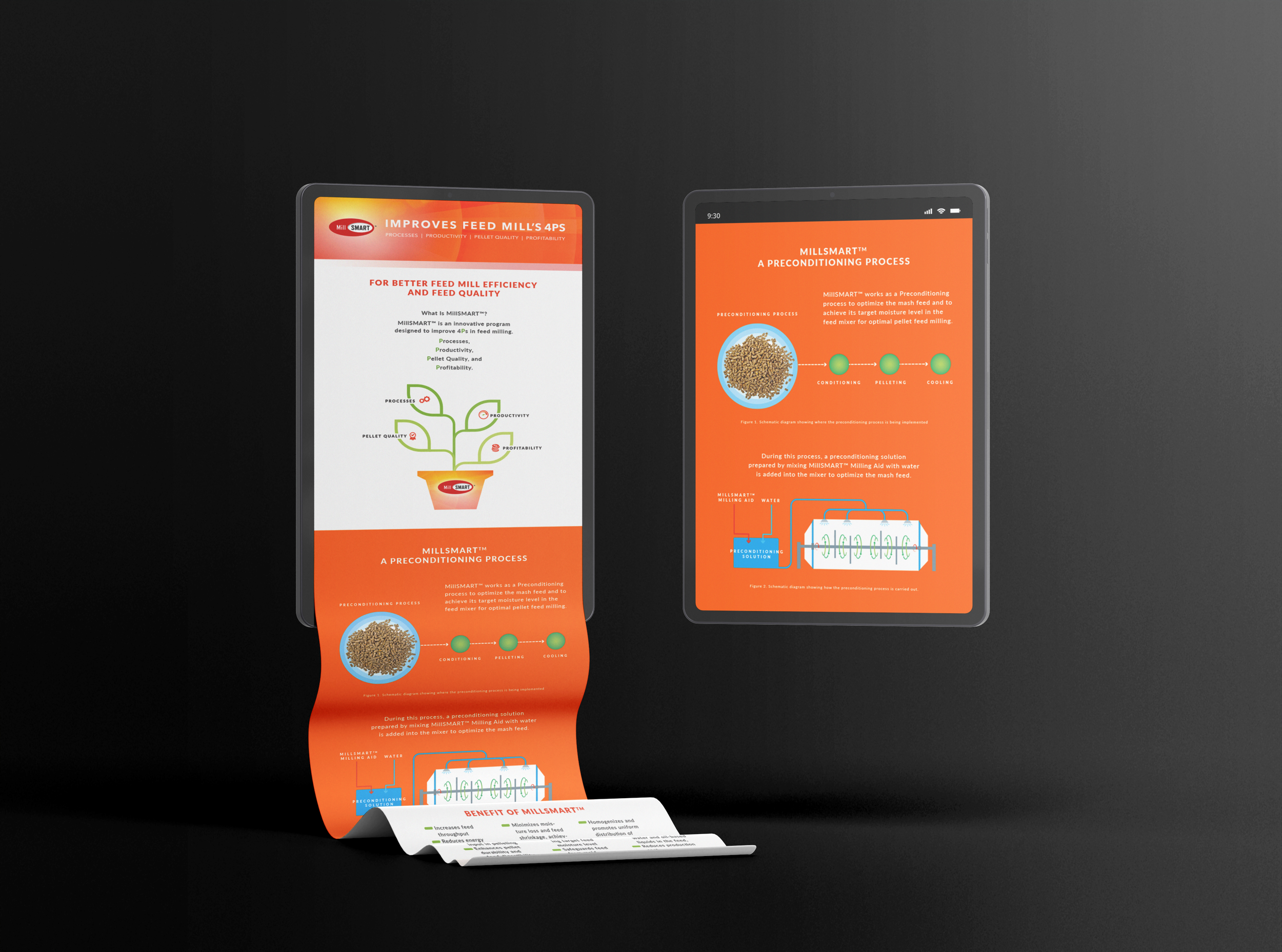 Kemin Millsmart Infographic Design.png
