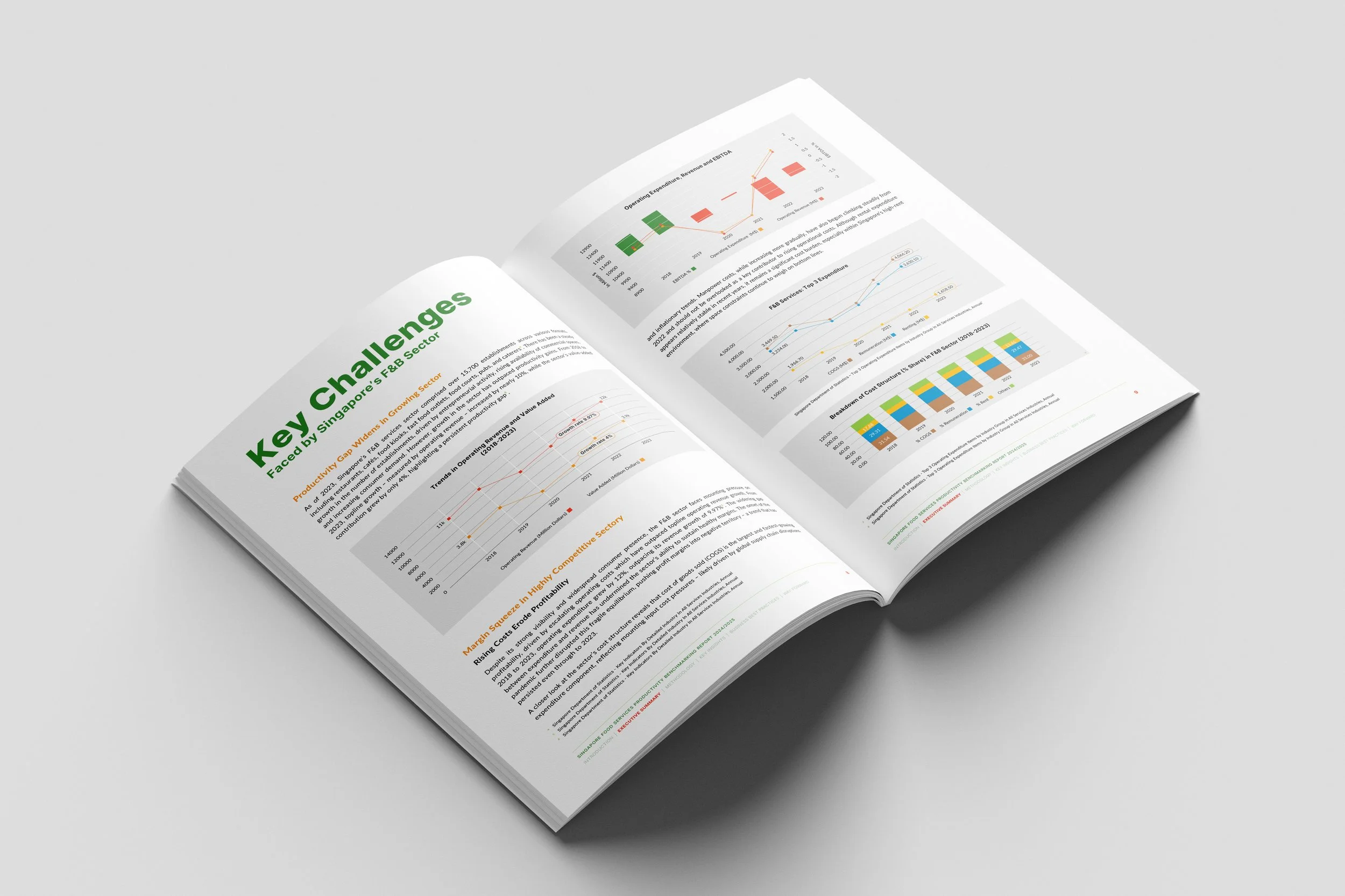 SG FIPB Report Chart Design Vr2026-Yana Singapore Freelance Designer.jpg