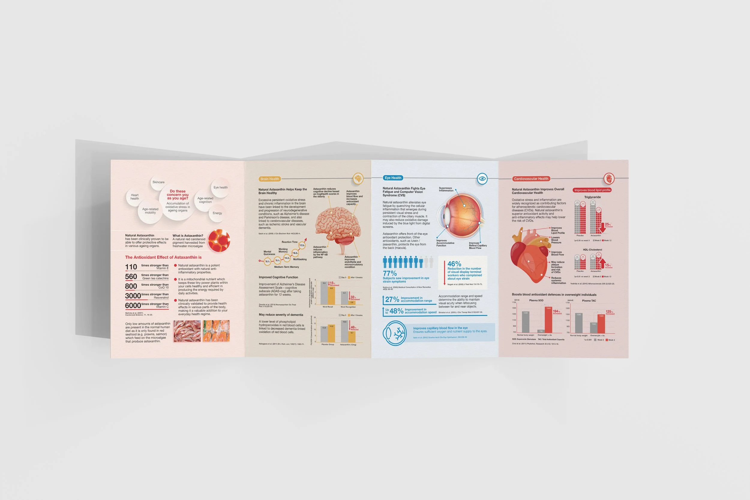 ACT AstaReal infographic Design Vr2026-Yana Singapore Freelance Designer.jpg