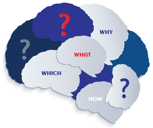brainQuestions.png