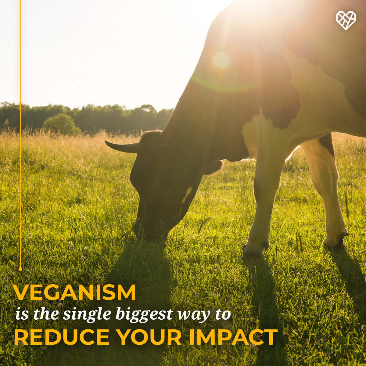 comms-sm-veganism-reduce-impact.jpg