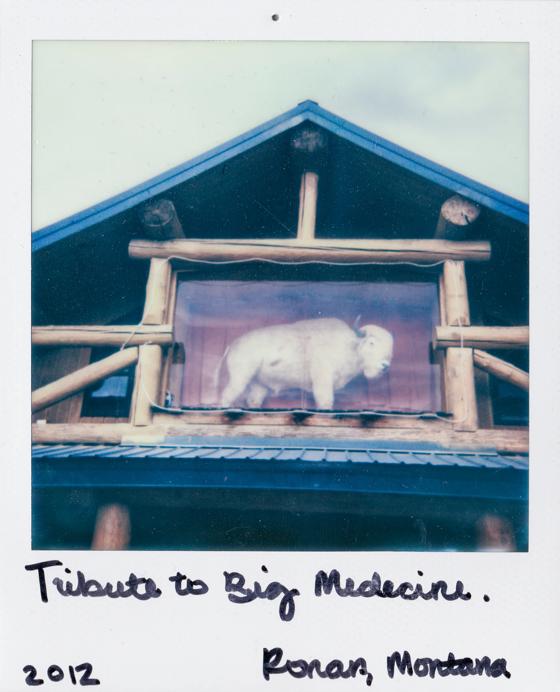 ©MichelleGustafsonPhotography-79.jpg