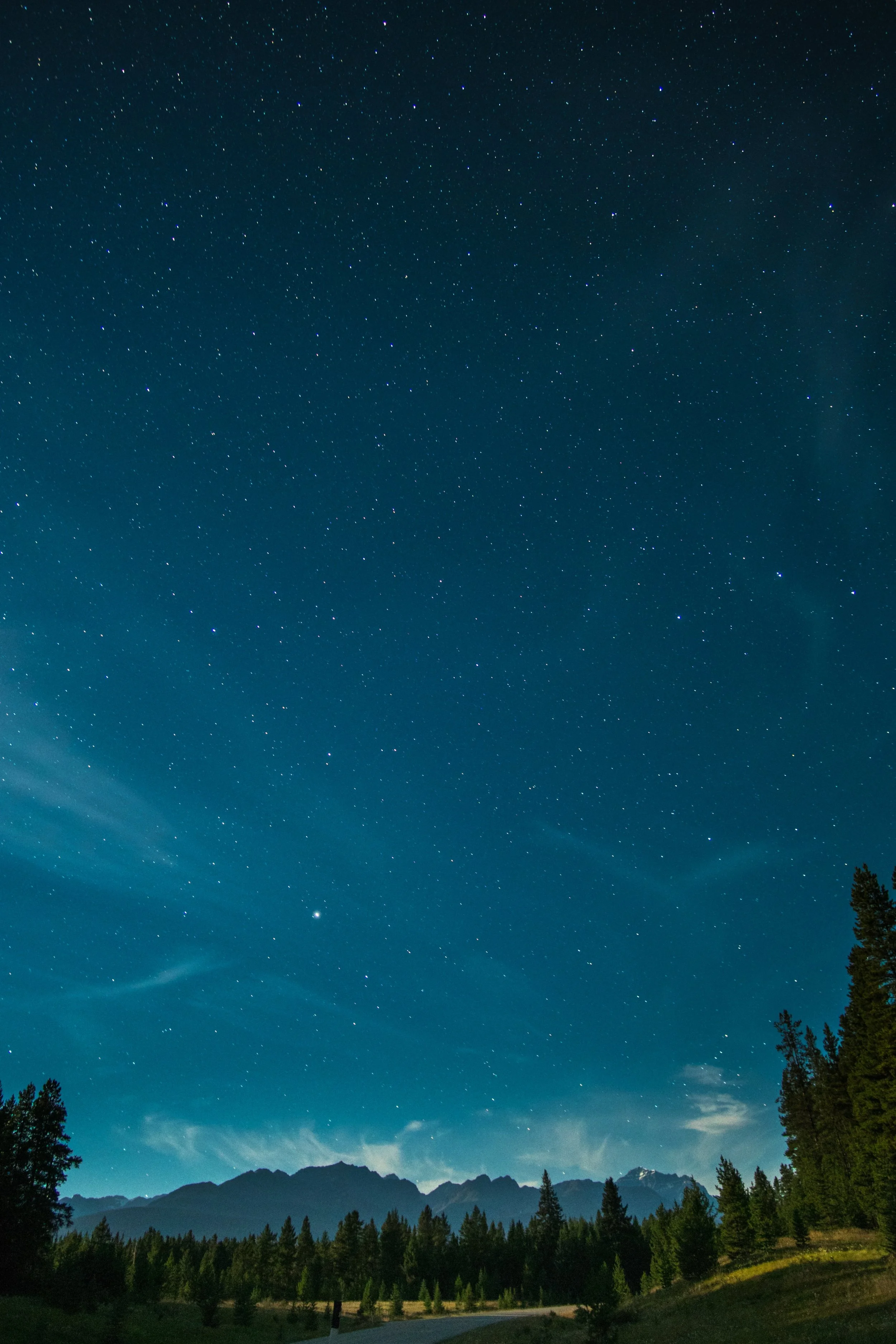standards-of-starlight-kelly-utt.jpg